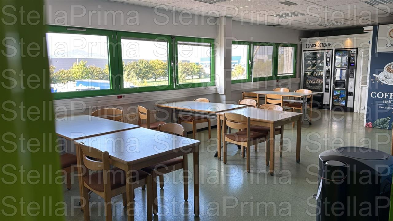 Pro (4)